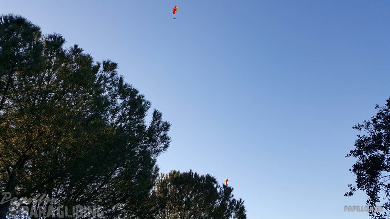 FA11.19 Algodonales-Paragliding-528