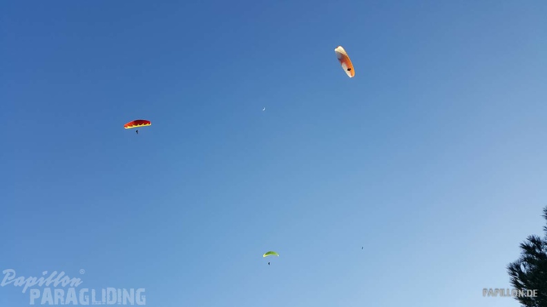 FA11.19 Algodonales-Paragliding-532