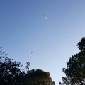 FA11.19 Algodonales-Paragliding-536