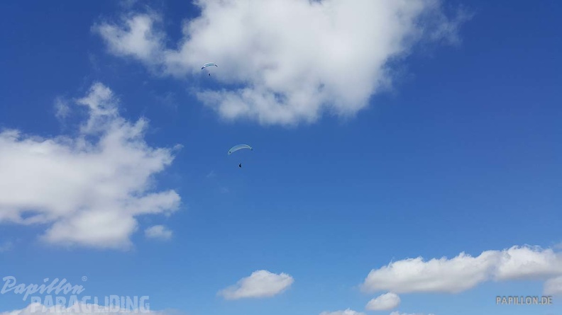 FA11.19 Algodonales-Paragliding-575