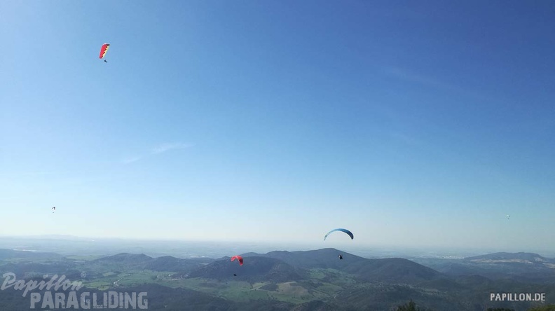 FA11.19 Algodonales-Paragliding-781