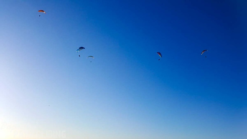 FA46.19 Algodonales-Paragliding-339