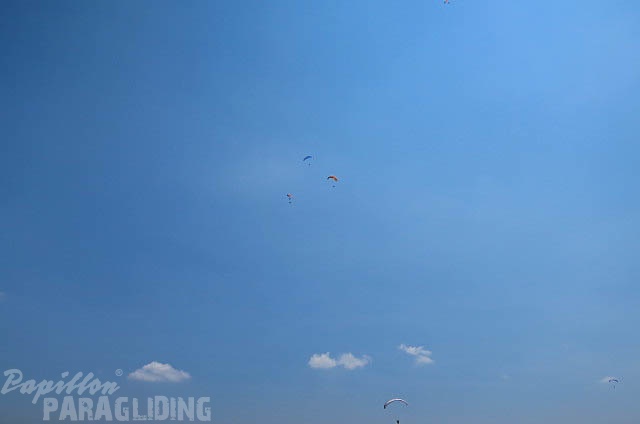 FUV24_15_M_Paragliding-244.jpg