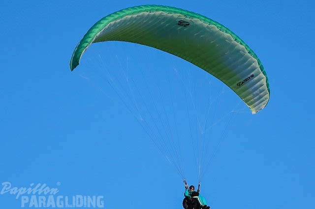 FUV24_15_M_Paragliding-302.jpg