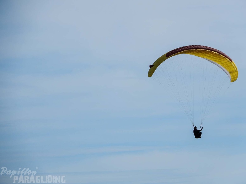 FPG 2017-Portugal-Paragliding-Papillon-185