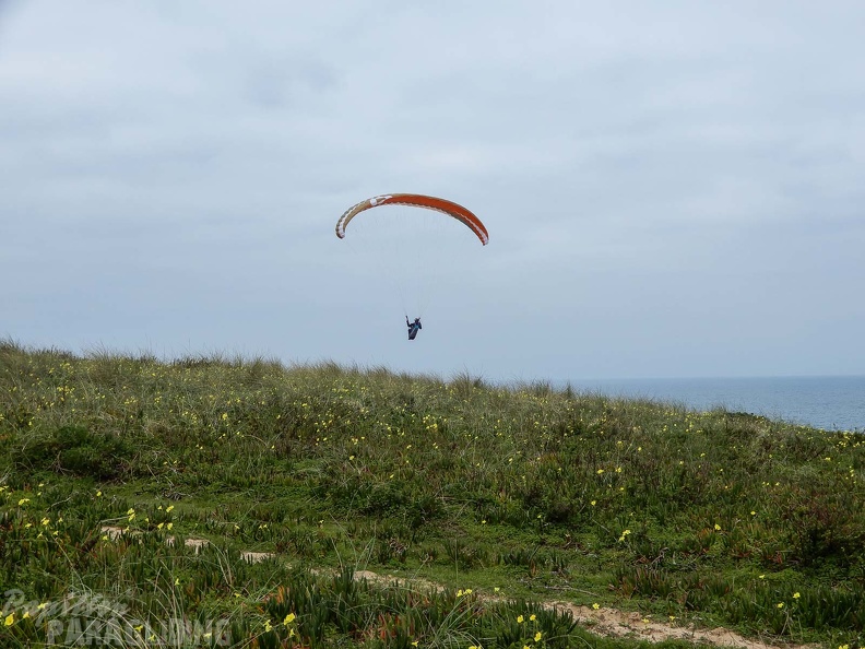 FPG_2017-Portugal-Paragliding-Papillon-298.jpg