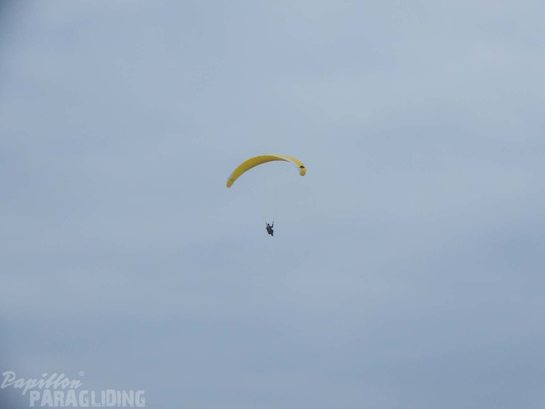 FPG 2017-Portugal-Paragliding-Papillon-332