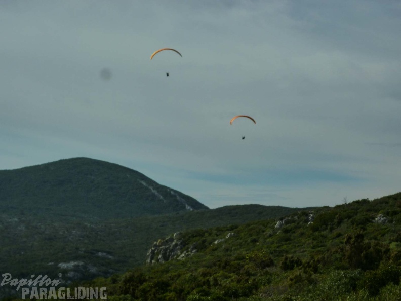 FPG 2017-Portugal-Paragliding-Papillon-363