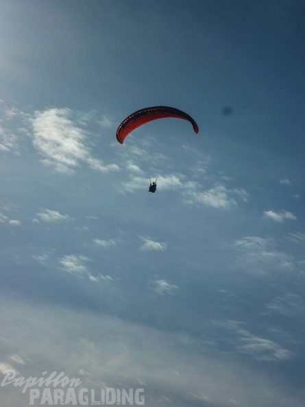 FPG_2017-Portugal-Paragliding-Papillon-447.jpg