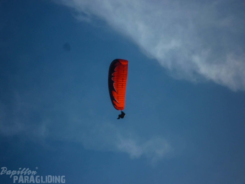 FPG 2017-Portugal-Paragliding-Papillon-448