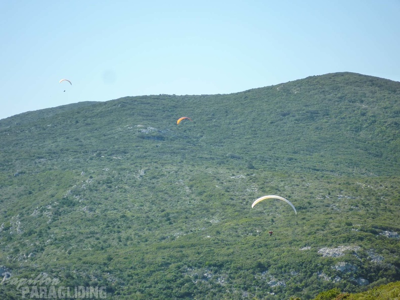 FPG 2017-Portugal-Paragliding-Papillon-467