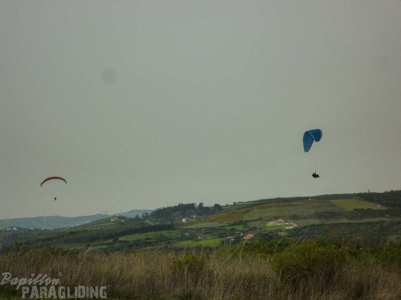 FPG 2017-Portugal-Paragliding-Papillon-598