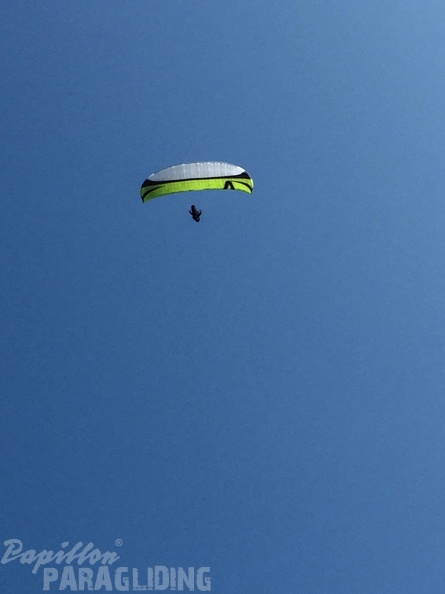 FSB30.15 Paragliding-Bled.jpg-1199