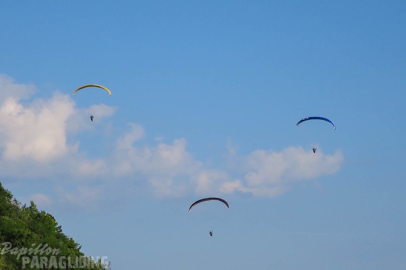 FSS19_15_Paragliding-Flugsafari-116.jpg