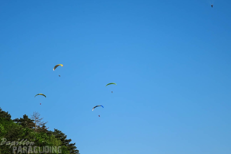 FSS19 15 Paragliding-Flugsafari-125
