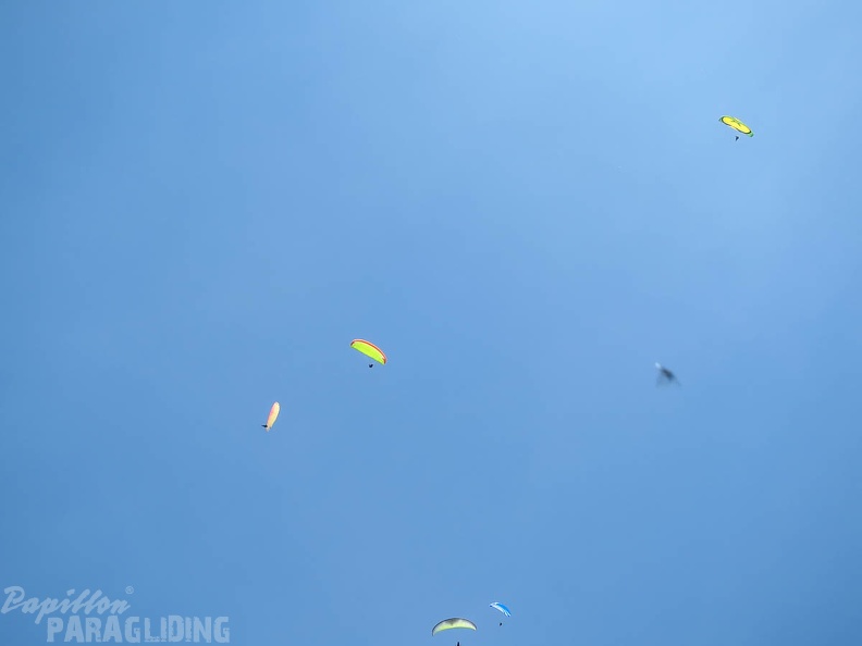 FSS19 15 Paragliding-Flugsafari-281