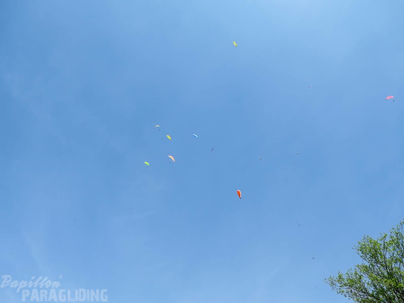 FSS19 15 Paragliding-Flugsafari-285