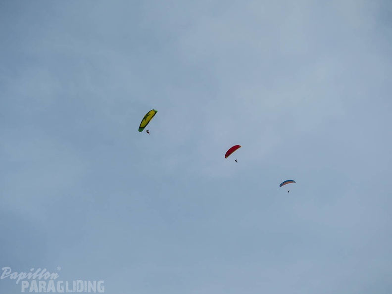 FSS19 15 Paragliding-Flugsafari-353