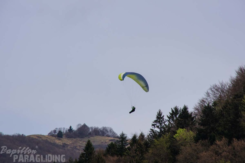 FS15.19 Slowenien-Paragliding-114