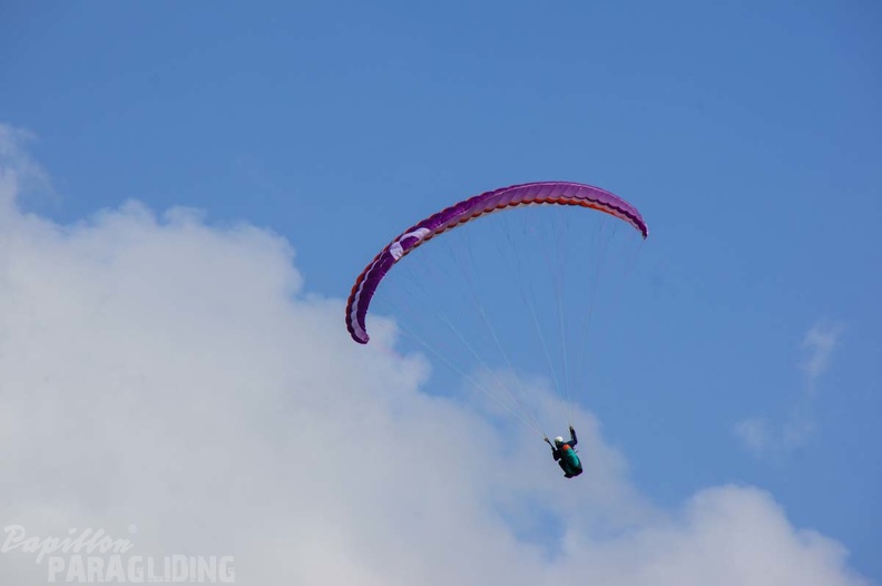 FS17.19 Slowenien-Paragliding-121