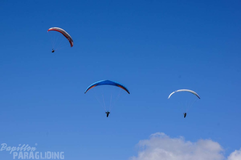 FX35.17_St-Andre_Paragliding-322.jpg