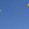 2012 FU1.12 Farfalla-Safari Paragliding 049