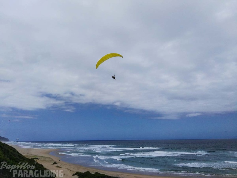 Paragliding Suedafrika FN5.17-179
