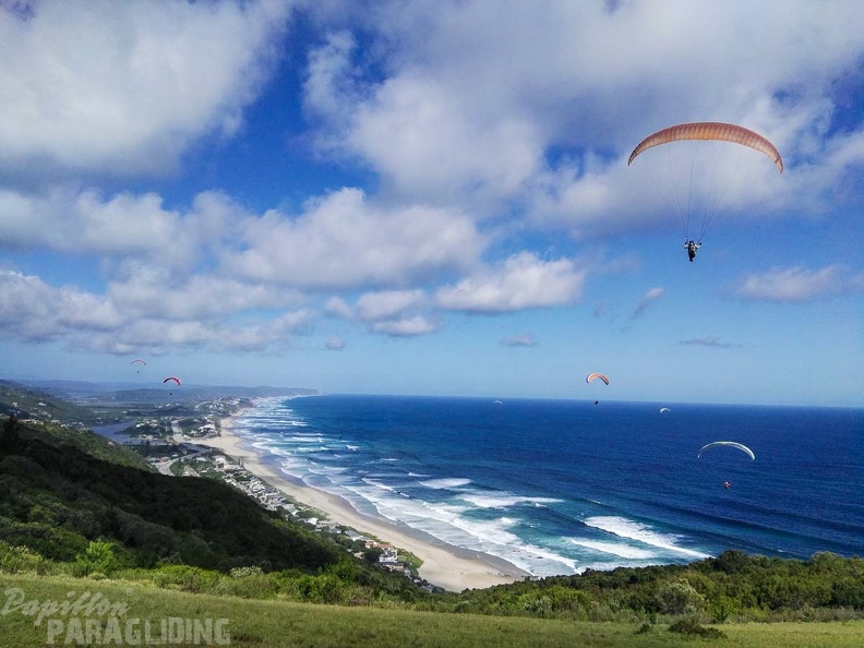 Paragliding Suedafrika FN5.17-269