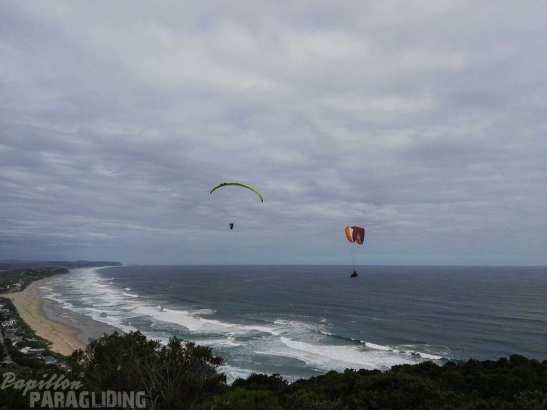 Paragliding Suedafrika FN5.17-406