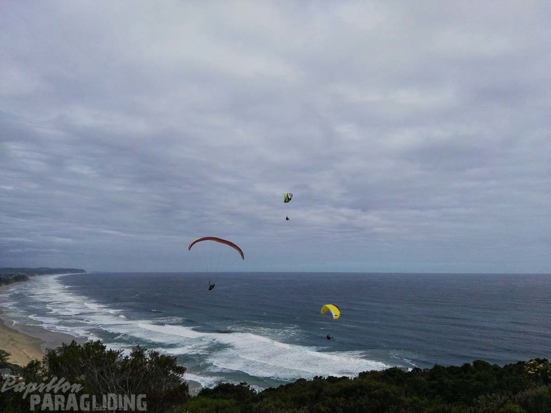 Paragliding Suedafrika FN5.17-412