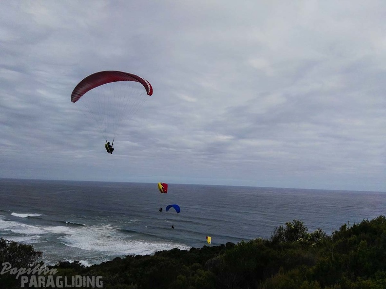Paragliding Suedafrika FN5.17-430