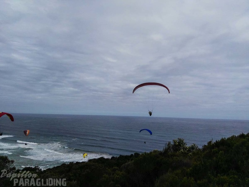 Paragliding Suedafrika FN5.17-432