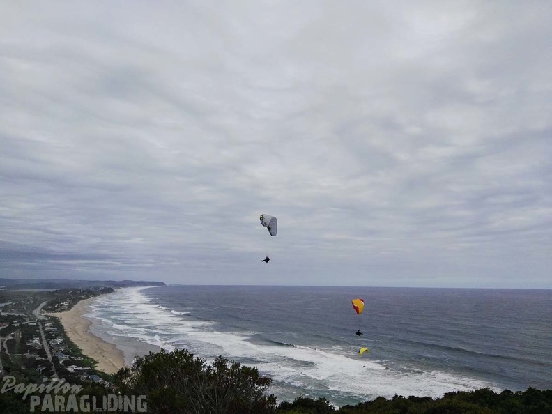 Paragliding Suedafrika FN5.17-459