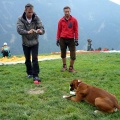 2011 FU3 Dolomiten Paragliding 011
