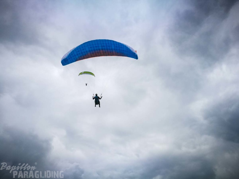 FZ37.17 Zoutelande-Paragliding-441