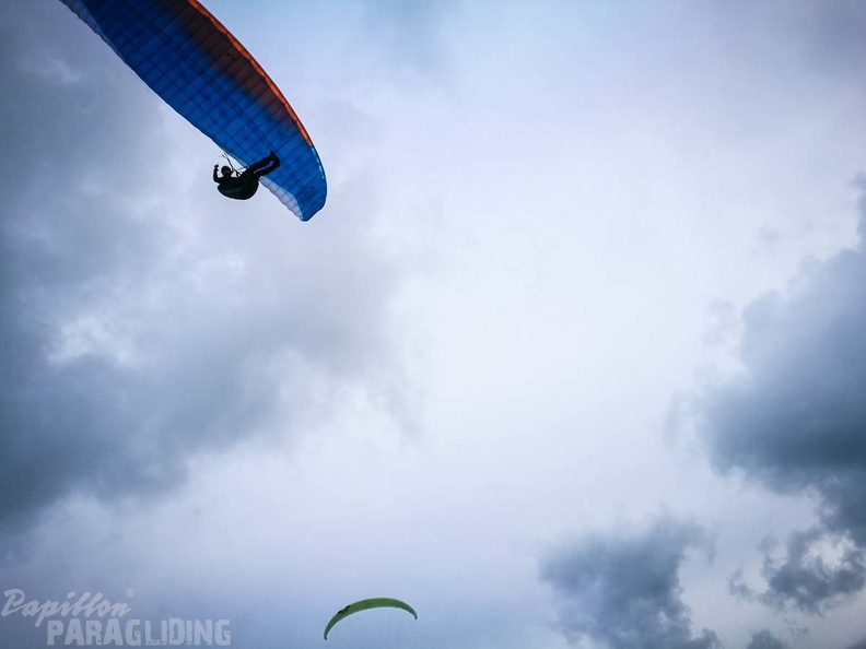 FZ37.17 Zoutelande-Paragliding-554
