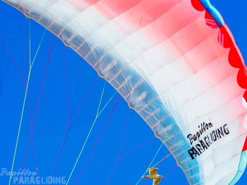 FZ37.18 Zoutelande-Paragliding-881