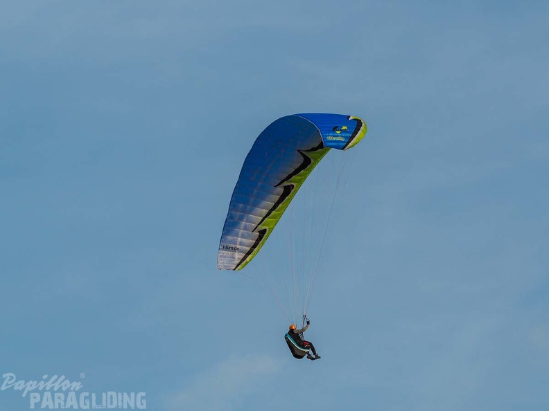FZ37.18 Zoutelande-Paragliding-897