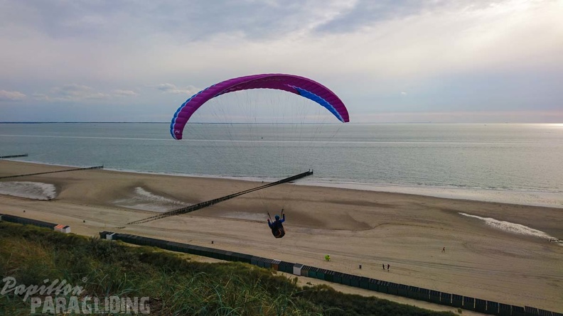 FZ37.19 Zoutelande-Paragliding-262