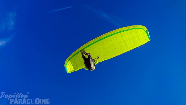 FZ37.19_Zoutelande-Paragliding-560.jpg