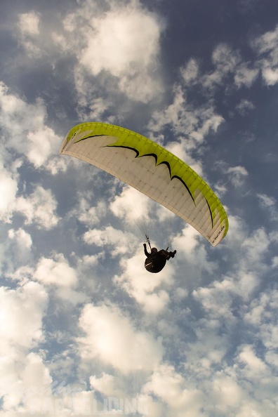 Paragliding_Zoutelande-501.jpg