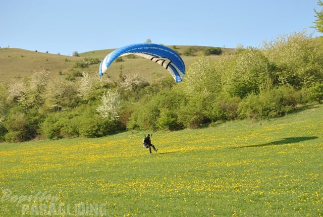 2011_RFB_SPIELBERG_Paragliding_071.jpg