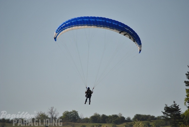 2011 RFB SPIELBERG Paragliding 096