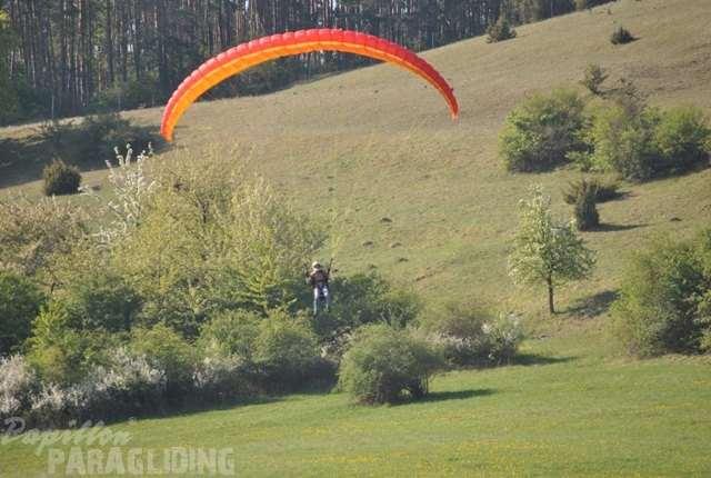 2011 RFB SPIELBERG Paragliding 116