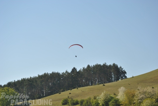 2011 RFB SPIELBERG Paragliding 125