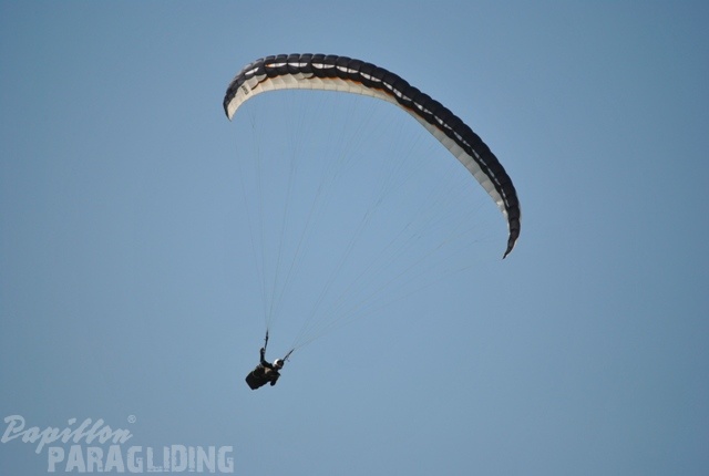 2011 RFB SPIELBERG Paragliding 151