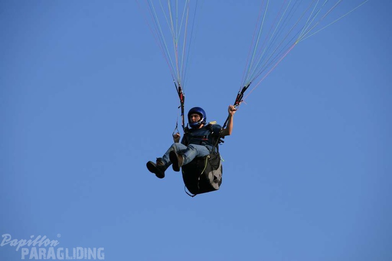 2011 RK27.11 Paragliding Wasserkuppe 156