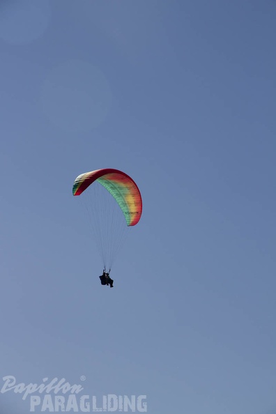 Tandem Paragliding Anna-1290