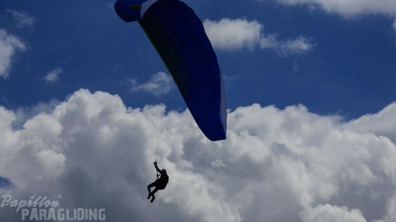 RK26.16 Paragliding-01-1028