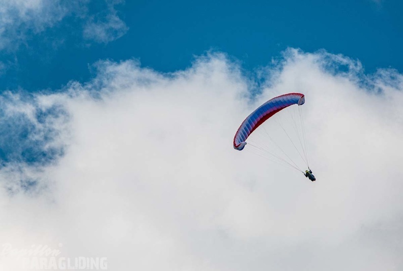 FWA22.21-Watles-Paragliding-186